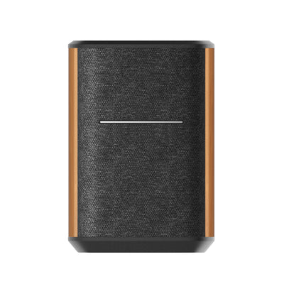 Enceinte intelligente sans fil MS50A avec connectivité multi-pièces